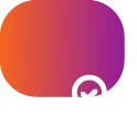 Assessment & Strategy