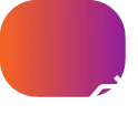 Audience Segmentation