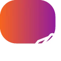 Information Architecture