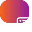 Monitoring & Support